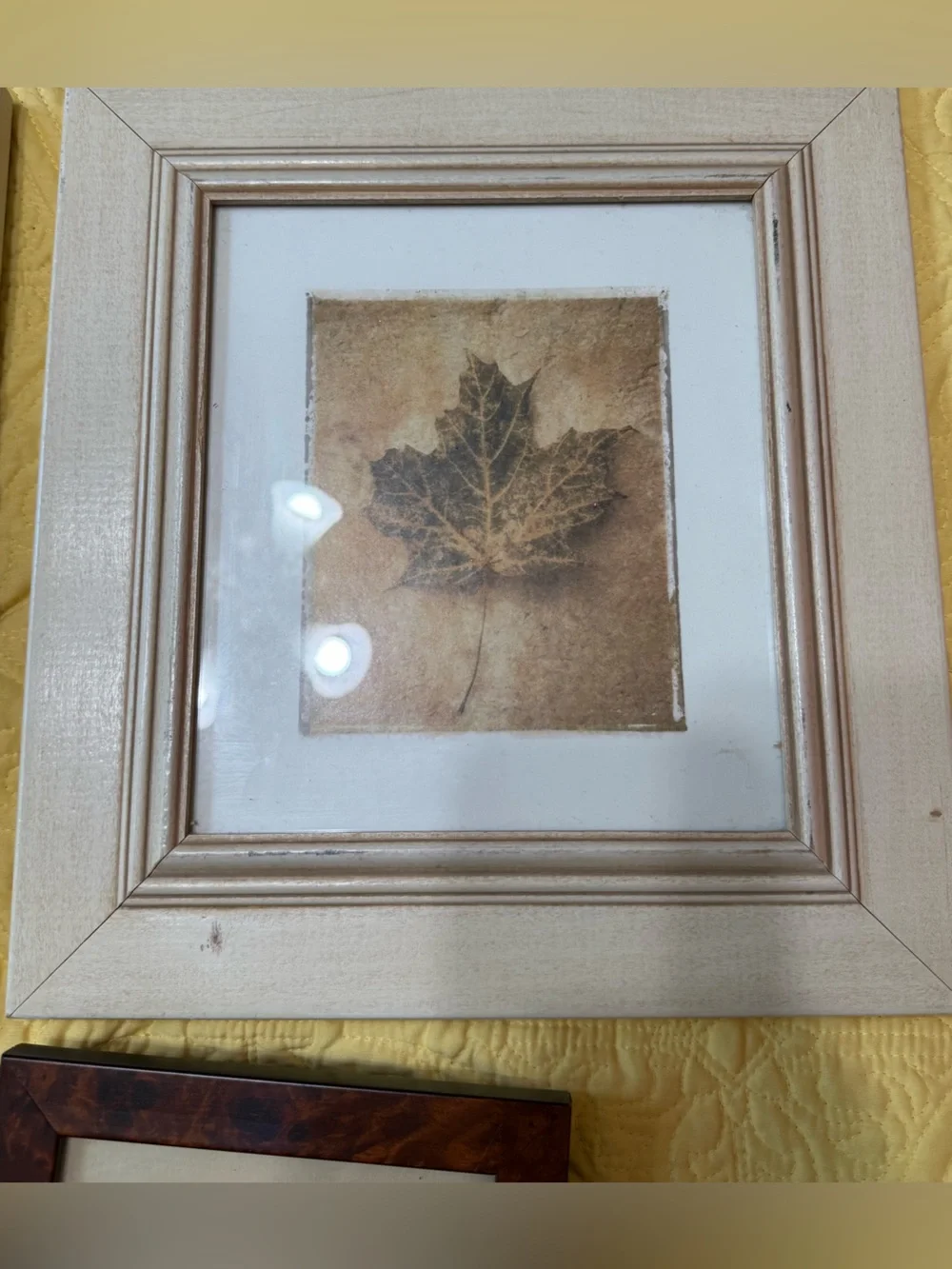 Neutral Framed Leaf Wall Art Set - Cream and Brown Lot 3